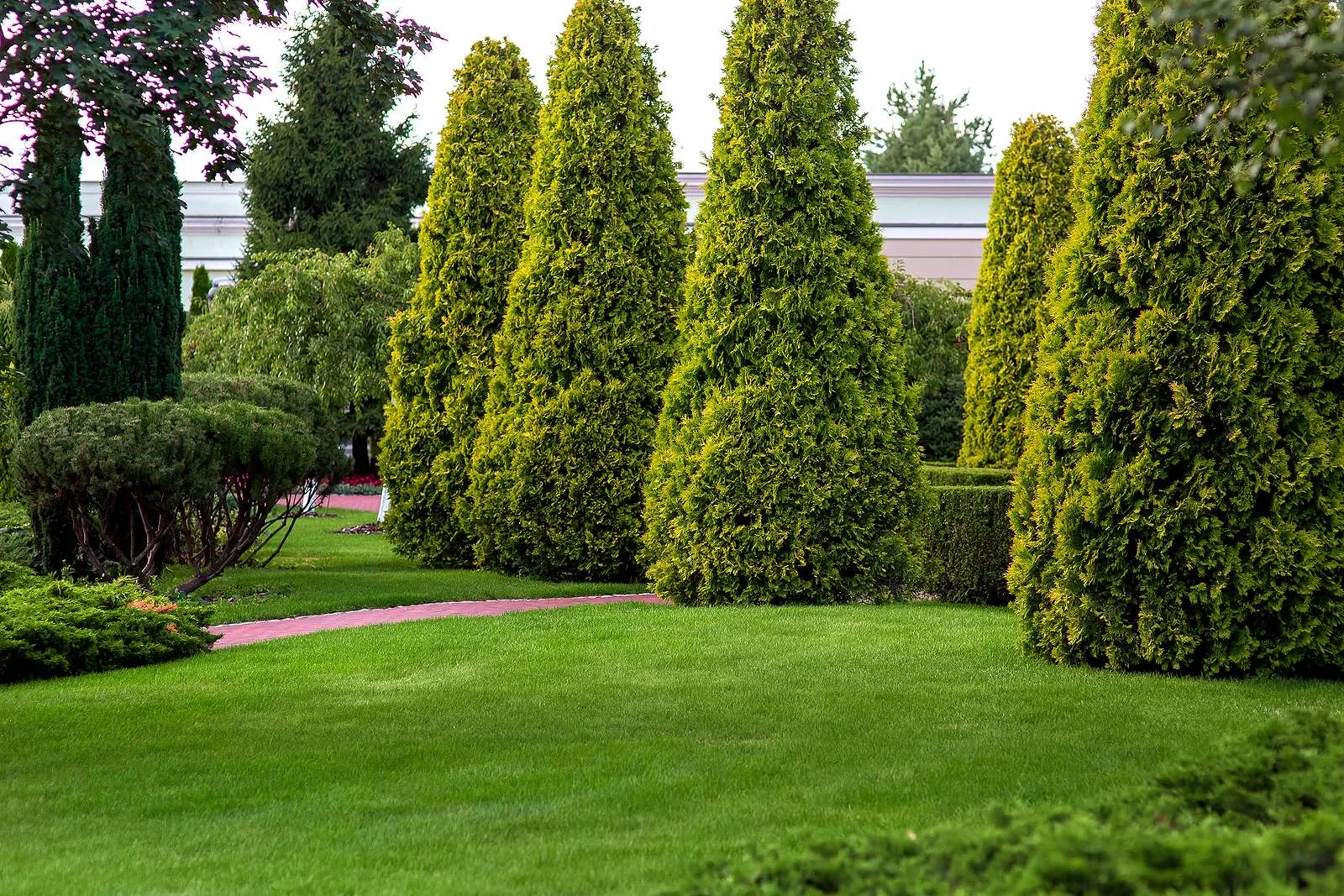 Glade style landscape design