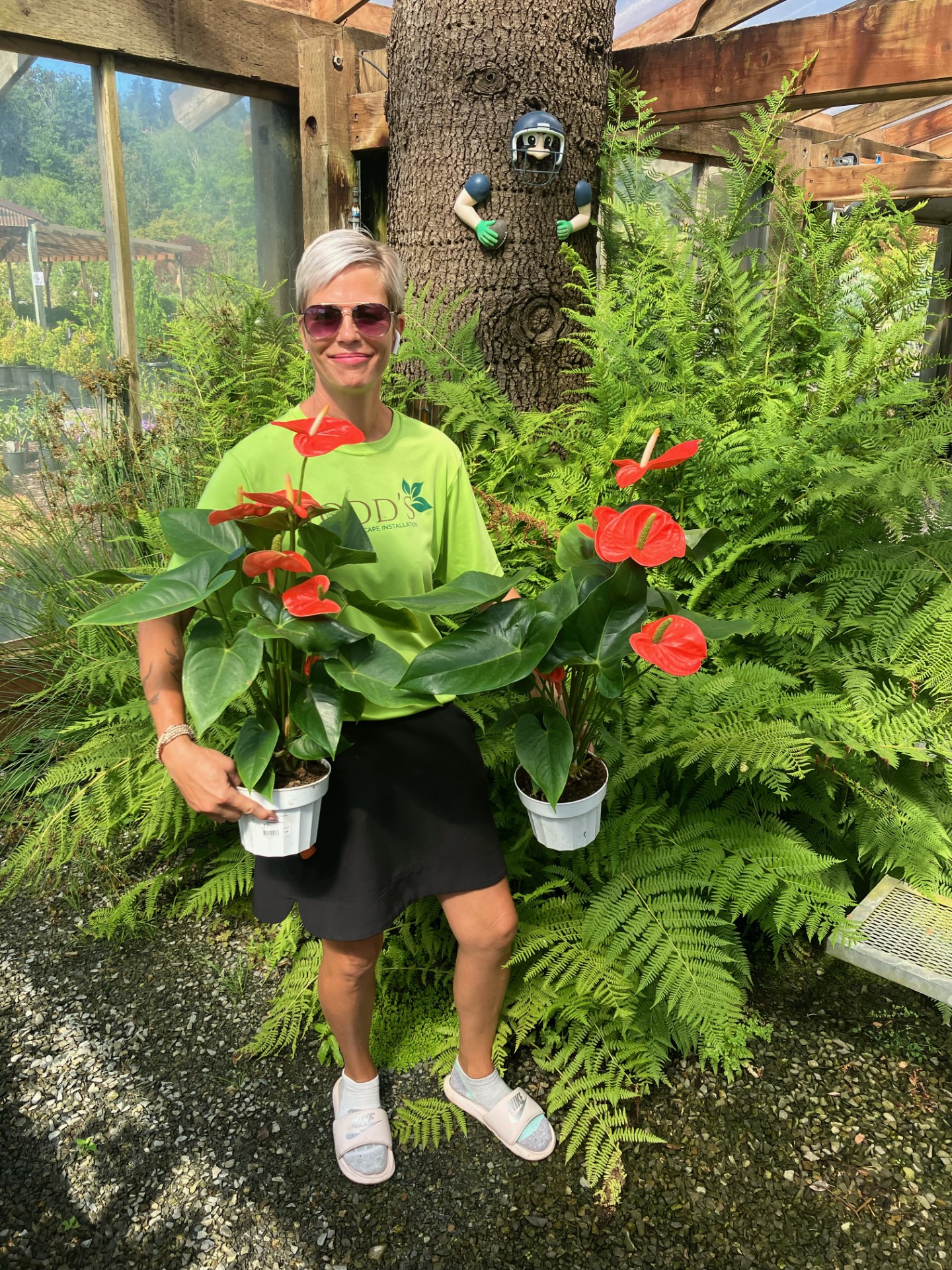 Todd's Nursery staff member holding fresh anthurium plants in Puyallup WA greenhouse